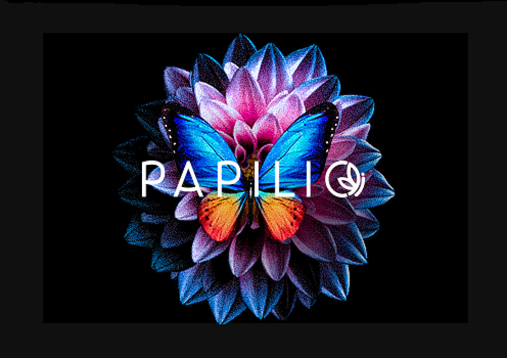 Papilio